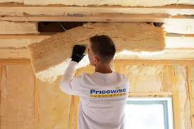 Best Eco-Friendly or Green Insulation Solutions  in Farwell, TX