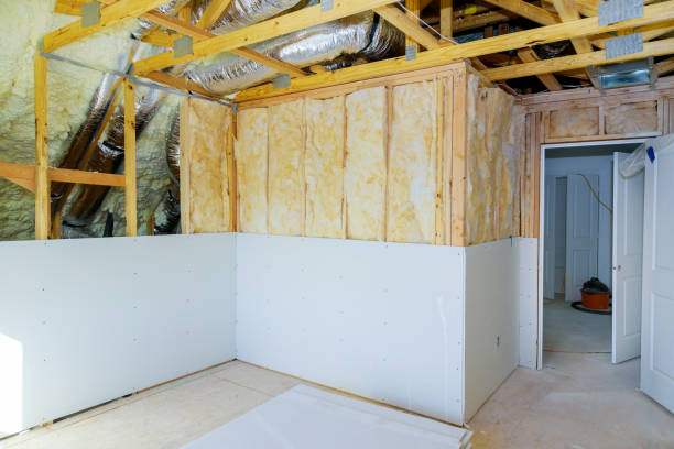 Best Spray Foam Insulation  in Farwell, TX