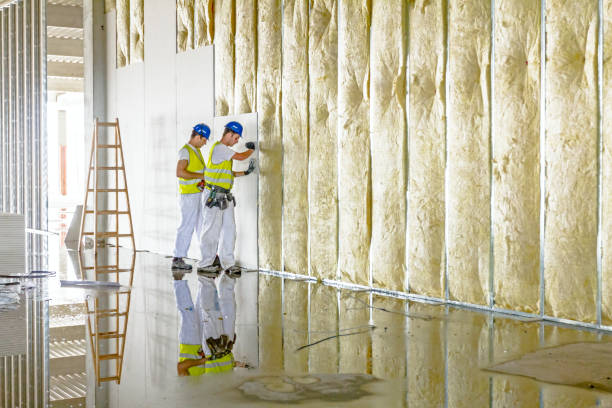 Best Commercial Insulation Services  in Farwell, TX